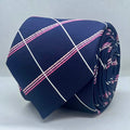 Blush Meridian Navy Check Silk Tie